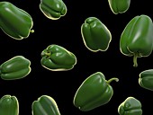 Bell peppers, illustration