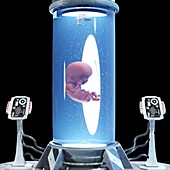 Fetus in a tank, illustration