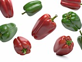 Peppers, illustration