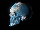 Skull planet, conceptual illustration