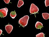 Strawberries, illustration