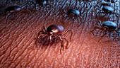 Group of ticks crawling on human skin, illustration