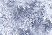 Snowflakes, abstract fractal illustration