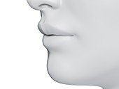 Female mouth, illustration
