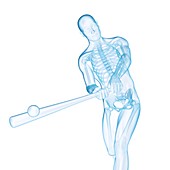 Baseball player, illustration