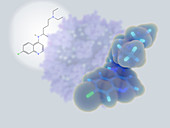 Chloroquine drug, molecular models
