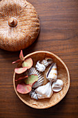 Eucalyptus sprig in Autumn colours and seashells in basket