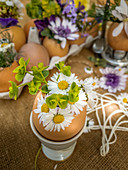 Daisies in eggshell