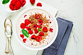 Joghurt-Smoothie mit frischen Himbeeren
