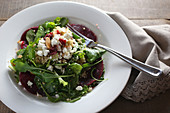 Arugula salad with beets, goat cheese, toasted almonds and quinoa