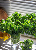 Fresh kale near window.