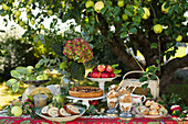 Sommerliches Buffet mit Apfelkuchen, -gebäck und -dessert