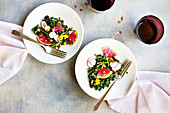 Kale Radish Salad with Roasted Yellow Pepper Pesto Vinaigrette