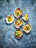 Fresh scallops against a blue background with copy space