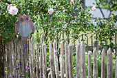 Handmade owl decoration on garden fence next to climbing rose