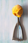 Homemade apricot ice cream in an ice cream scoop.