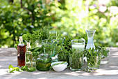 Kitchen herbs for detoxification