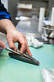 A mackerel being filleted