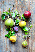 Different types of fruit from an orchard on a wooden background
