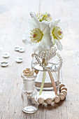 Winter arrangement of white hellebores in vase and string of beads
