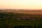 Countryside in wine-growing region around Colmar in Alsace (France)