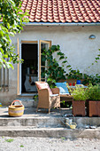 Seating area on terrace outside house with vines growing on wall