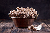 Frische braune Shimidzhi (Shimeji-Pilze) in Kupferschüssel