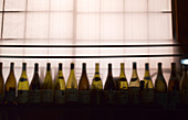 Reihe von Weinflaschen im Restaurant (Gion District, Kyoto, Japan)