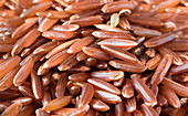 Red brown ermes rice