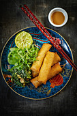 Spring rolls with salad and a dip (Asia)