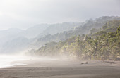 Corcovado National Park, Osa Peninsula, Costa Rica, Central America