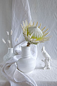 Weiße Protea-Blüte in weißer Vase