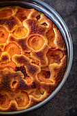 Apricot cake in a baking tin