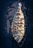 A grilled bream