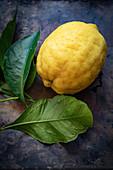 A lemon and lemon leaves