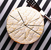 Round cake with white cream and glaze cut in pieces for serving placed on black and white striped surface