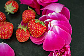 An arrangement of strawberry and pink flower petals
