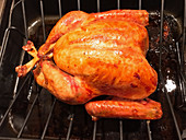Turkey in roasting pan