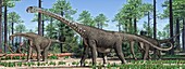Malawisaurus dixeyi dinosaur, illustration