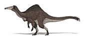 Deinocheirus dinosaur, illustration