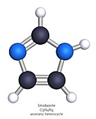 Molecular model of imidazole