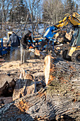 Making firewood, Michigan, USA