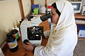 Hospital laboratory, Afghanistan