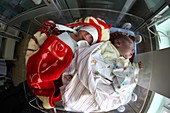 Newborn babies, Afghanistan