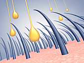 Hair strengthening treatment, conceptual illustration