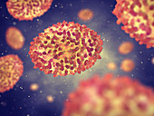 Smallpox viruses, illustration