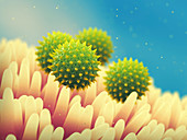 Pollen grains on flower, illustration