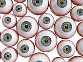 Eyeballs, illustration