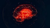 Brain scan, conceptual illustration