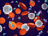 White and red blood cells and platelets, illustration